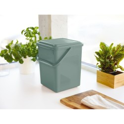 Bol de stockage Rotho                                 Vert 9 L