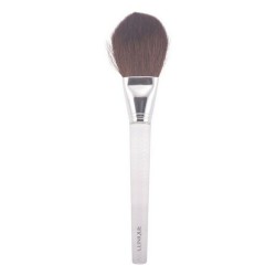 Pinceau Clinique Brush