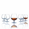 Balloon Glass Luminarc Spirit Bar Transparent Glass 6 Units 250 ml (Pack 6x)