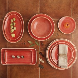 Flat plate Ariane Terra Ceramic Red (24 cm) (6 Units)