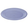 Assiette plate Bleu Rouge Vert Plastique (Reconditionné B)