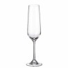 Set de Verres Bohemia Crystal Sira champagne 200 ml 6 Unités 4 Unités