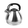 Kettle Feel Maestro MR-1319 Black Silver Stainless steel Plastic 4,3 L